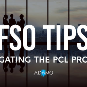 Text "FSO Tips Navigating the PCL Process" over an image of people standing in front of a window overlooking a city