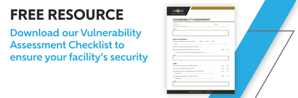vulnerability assessment download graphic